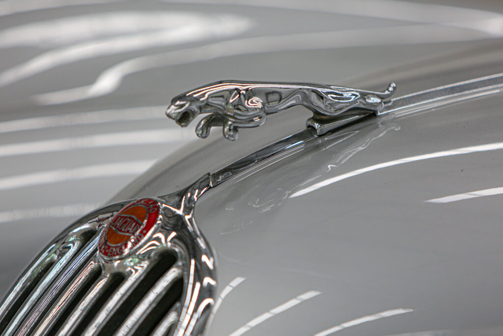 Jaguar XK140 Thailand